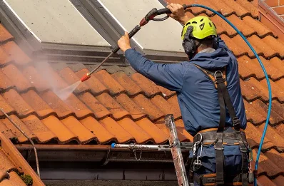 Démoussage et hydrofuge de toiture au Gué-de-Longroi